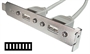 *PANNELLO SLOT CON 2 CONNETTORI  USB TIPO 'A' FEMMINA ESTERNI - CONNETTORE ALLA PIASTRA MADRE 1X8 PI