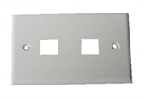 PLACCA PORTA FRUTTI 2 POSIZIONI PER JACK UTP/STP COLORE CHIARO
